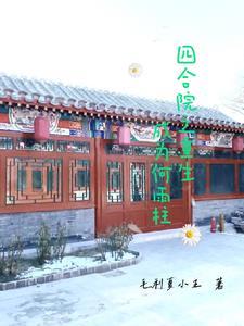 四合院之重生成为何雨柱最