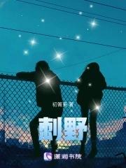 刺野傅朝野笔趣阁最新章节