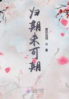 歌词归期未有期
