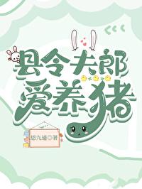 县令夫人不好当免费阅读