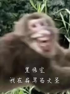 孙悟空在异界横行