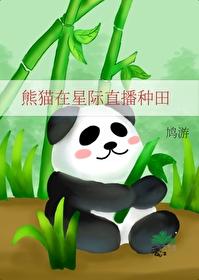 星际大熊猫卖萌