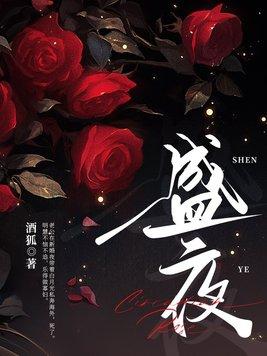 盛夜酒吧