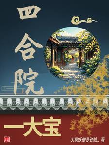 四合院一大宝儿 作者大唐妖僧是逆贼