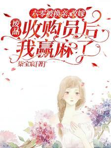 重生六零改嫁废品收购员