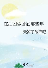 海贼王红发海贼团