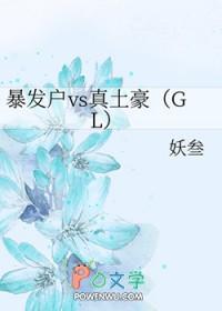 暴发户vs真土豪gl 百度