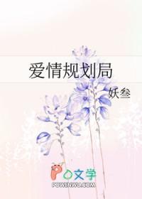 评爱情规划局 妖叁