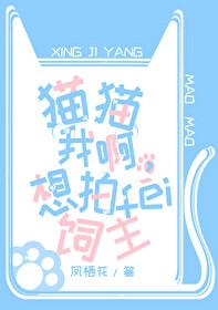 我要拍猫