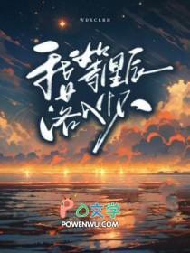 我等星辰落入怀(洱茶)