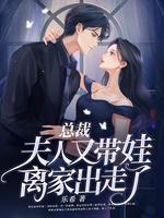 夫人又带娃离家出走了电视剧