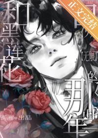 和黑莲花攻略手册一样好看的