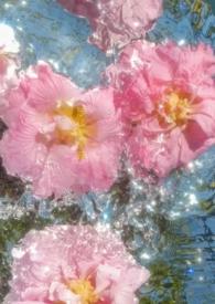 涉江采芙蓉中表达自己对爱情的忠贞