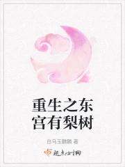 重生之东宫侧妃