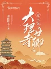 青玉案大理寺女卿TXT