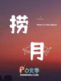 捞月式盆景图片