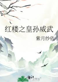 穿越红楼孙绍祖推荐
