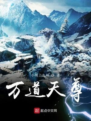 万道天尊短剧32