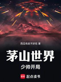 茅山世界少帅开局百度