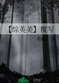 终场游戏综英美