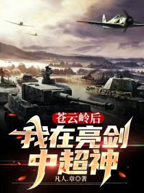 苍云岭后我在亮剑中超神听书