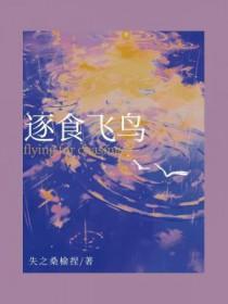 飞鸟逐前侣翻译