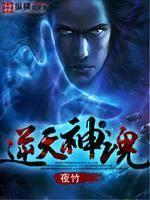 逆天至尊神魂仙宫