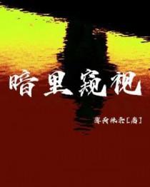 暗中窥探是成语吗