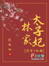 穿越林家子