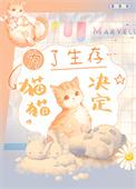 猫猫决定 关尼尼