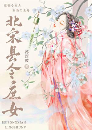 北宋县令庶女苏西坡