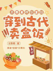 从摆摊卖盒饭开始暴富晋江