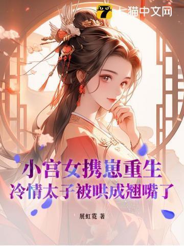 小宫女三皇子