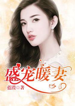 盛宠暖妻全文免费阅读