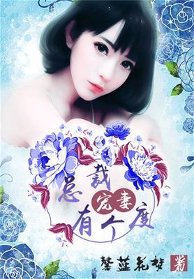 总裁宠妻有深度全文免费阅读