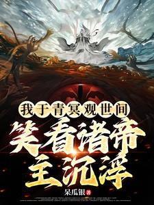 我于青冥观世间笑看诸帝主沉浮境界划分