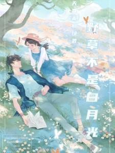 野草不是白月光 百度