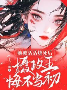 摄政王悔不当初短剧