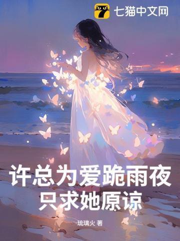 许总是什么电视剧