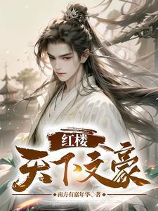 红楼文抄公
