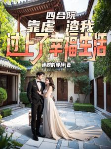 四合院网文