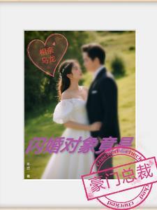 相亲闪婚的全部