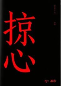 掠心by盈春全文阅读