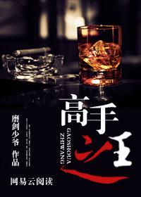 高手之王陈杨境界
