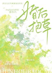 老婆哎老婆是什么是什么歌曲