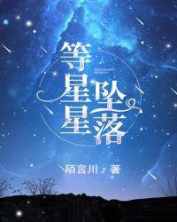 等星星坠落 陌言川讲的什么
