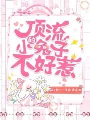 顶流的小兔子不好惹全文免费阅读