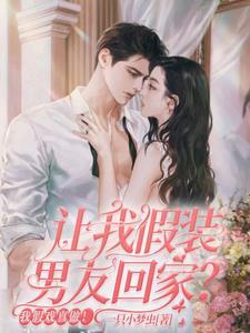 假装男朋友价格表