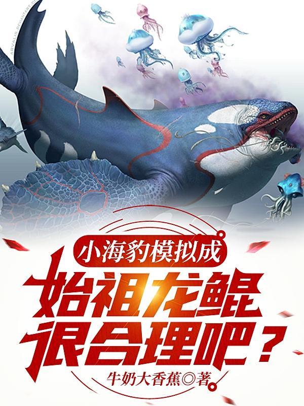 小海豹教程
