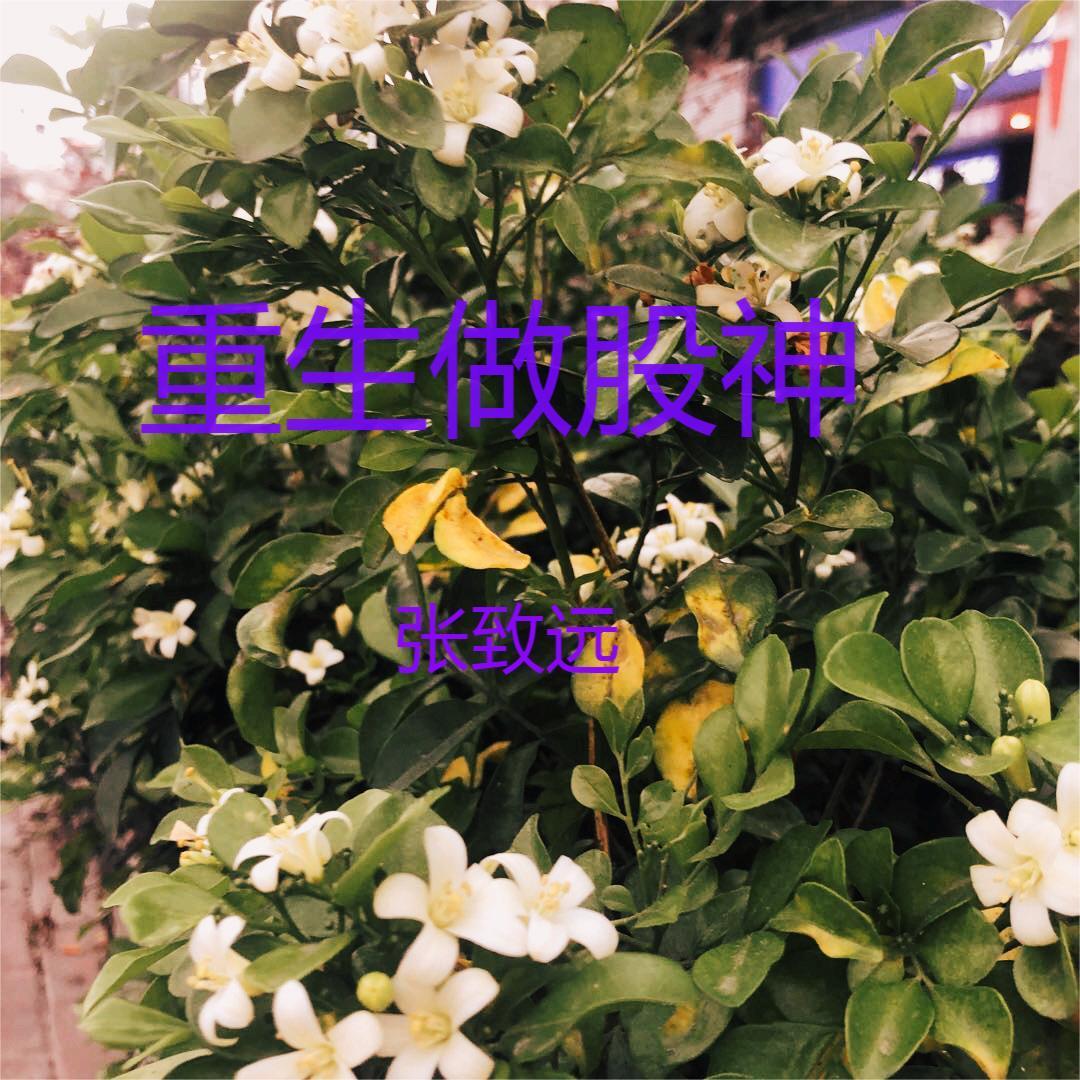 重生做股神张志远